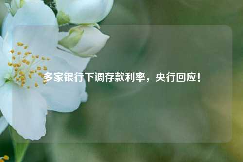 多家银行下调存款利率，央行回应！ 国内宏观 存款利率 银行 行业新闻 第1张