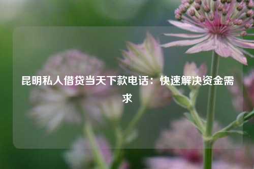 昆明私人借贷当天下款电话：快速解决资金需求 个人借钱 第1张