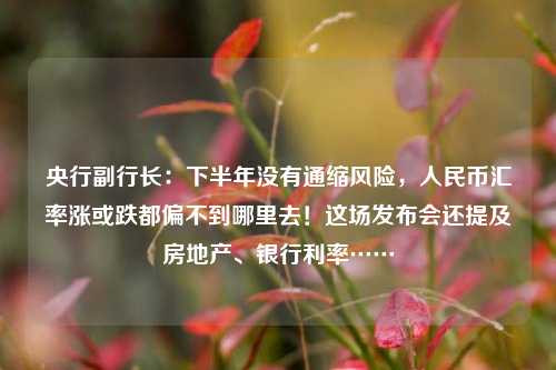 央行副行长：下半年没有通缩风险，人民币汇率涨或跌都偏不到哪里去！这场发布会还提及房地产、银行利率…… 银行 金融 人民币汇率 行业新闻 第1张