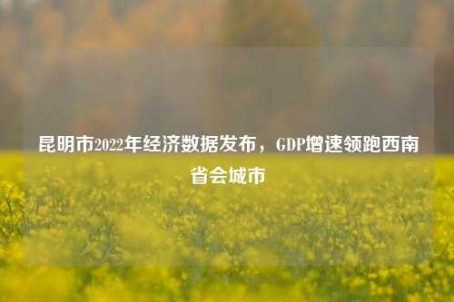 昆明市2022年经济数据发布，GDP增速领跑西南省会城市 生产总值 经济 增加值 行业新闻 第1张