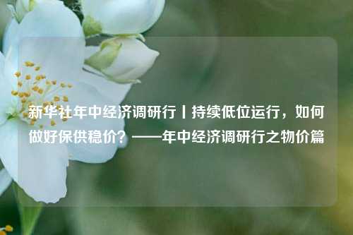 新华社年中经济调研行丨持续低位运行，如何做好保供稳价？——年中经济调研行之物价篇 张兴华 经济 物价水平 行业新闻 第1张