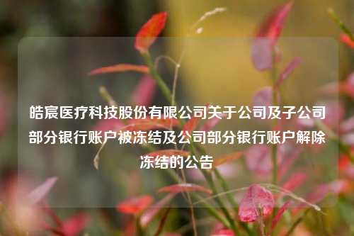 皓宸医疗科技股份有限公司关于公司及子公司部分银行账户被冻结及公司部分银行账户解除冻结的公告 股票 医疗 银行 行业新闻 第1张