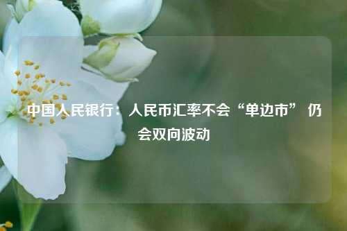 中国人民银行：人民币汇率不会“单边市” 仍会双向波动 银行 人民币汇率 中国人民银行 行业新闻 第1张