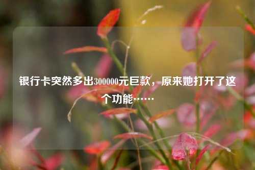 银行卡突然多出300000元巨款，原来她打开了这个功能…… 违法犯罪 奇闻轶事 法制 行业新闻 第1张