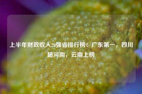 上半年财政收入20强省排行榜：广东第一，四川超河南，云南上榜 经济 宏观经济 河南经济 行业新闻 第1张