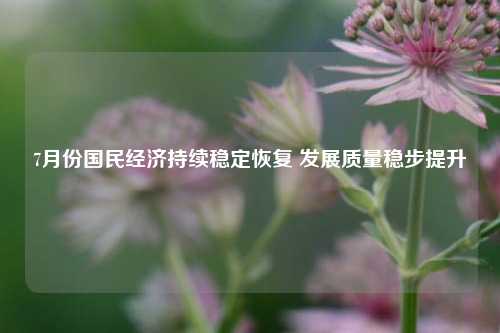 7月份国民经济持续稳定恢复 发展质量稳步提升 经济 国内宏观 国民经济 行业新闻 第1张