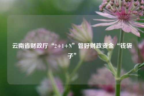 云南省财政厅“2+1+N”管好财政资金“钱袋子” 行业新闻 第1张