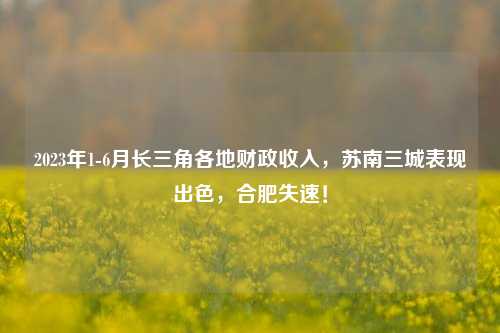 2023年1 6月长三角各地财政收入，苏南三城表现出色，合肥失速！ 经济 合肥经济 长三角 行业新闻 第1张