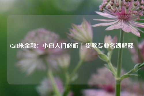 Call米金融：小白入门必听 | 贷款专业名词解释 贷款 房产 银行 行业新闻 第1张