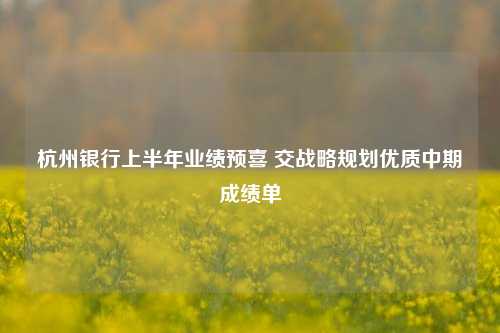 杭州银行上半年业绩预喜 交战略规划优质中期成绩单 银行业 年末资产总额 杭州银行 行业新闻 第1张