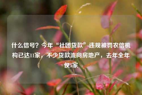 什么信号？今年“社团贷款”违规被罚农信机构已达11家，不少贷款流向房地产，去年全年仅5家 房地产业 金融 行业新闻 第1张