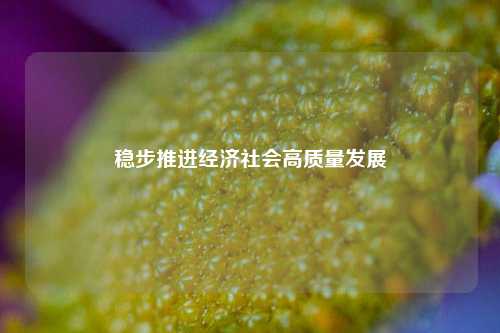 稳步推进经济社会高质量发展 时政 三农 经济建设 行业新闻 第1张