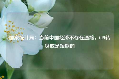 国家统计局：当前中国经济不存在通缩，CPI转负或是短期的 行业新闻 第1张