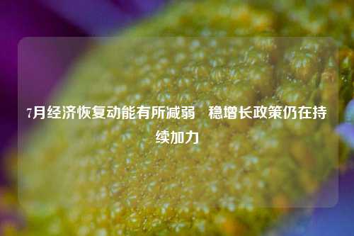 7月经济恢复动能有所减弱 稳增长政策仍在持续加力 经济 稳增长 投资 行业新闻 第1张