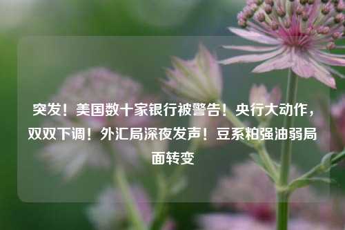 突发！美国数十家银行被警告！央行大动作，双双下调！外汇局深夜发声！豆系粕强油弱局面转变 美豆 大豆油 银行 行业新闻 第1张