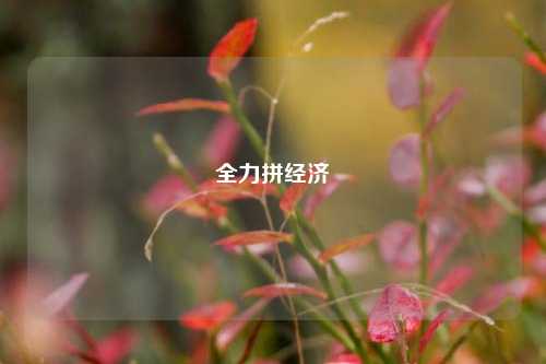 全力拼经济 时政 招商项目 经济 行业新闻 第1张