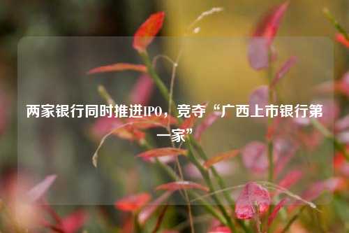 两家银行同时推进IPO，竞夺“广西上市银行第一家” 桂林银行 银行上市 银行 行业新闻 第1张