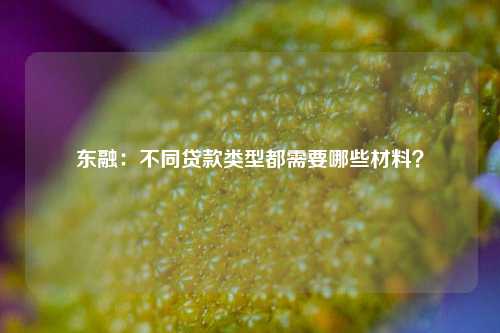 东融：不同贷款类型都需要哪些材料？ 贷款 行业新闻 第1张