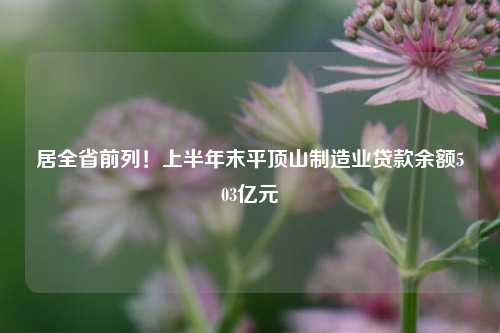 居全省前列！上半年末平顶山制造业贷款余额503亿元 金融 贷款余额 行业新闻 第1张