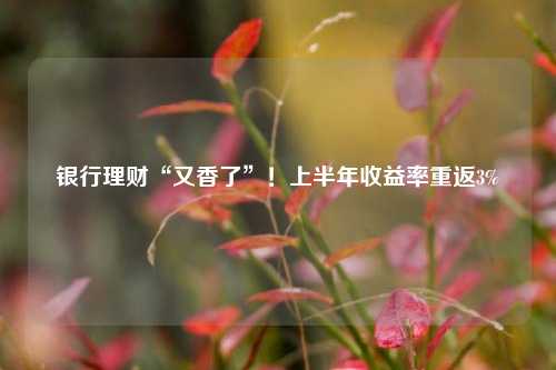 银行理财“又香了”！上半年收益率重返3% 理财 银行理财 银行 行业新闻 第1张