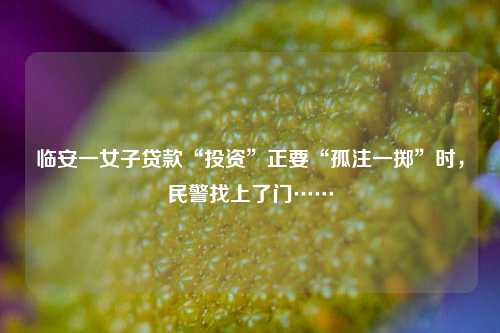 临安一女子贷款“投资”正要“孤注一掷”时，民警找上了门…… 社会万象 法制 投资 行业新闻 第1张