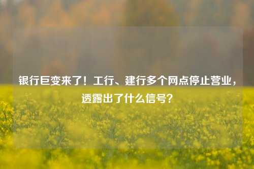 银行巨变来了！工行、建行多个网点停止营业，透露出了什么信号？ 银行网点 金融 银行 行业新闻 第1张