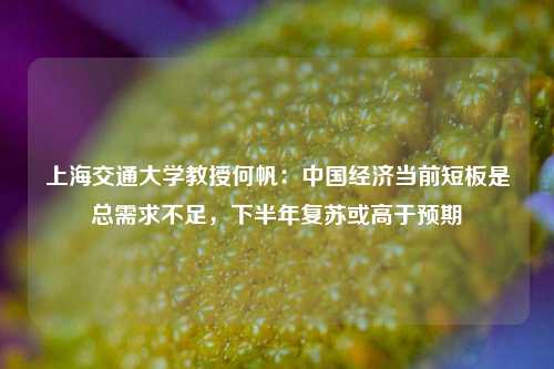 上海交通大学教授何帆：中国经济当前短板是总需求不足，下半年复苏或高于预期 何帆 经济 行业新闻 第1张