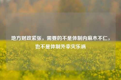 地方财政紧张，需要的不是体制内麻木不仁，也不是体制外幸灾乐祸 地方财政 行业新闻 第1张
