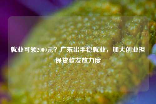 就业可领2000元？广东出手稳就业，加大创业担保贷款发放力度 求职 社会保险 创业 行业新闻 第1张