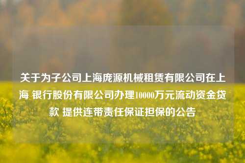 关于为子公司上海庞源机械租赁有限公司在上海 银行股份有限公司办理10000万元流动资金贷款 提供连带责任保证担保的公告 建设机械 董事会会议 机械租赁 行业新闻 第1张