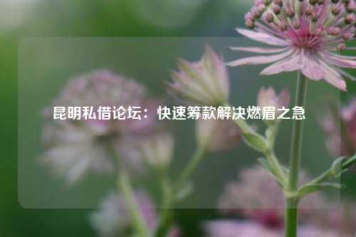 昆明私借论坛：快速筹款解决燃眉之急 个人借钱 第1张