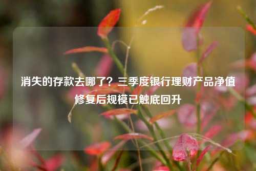 消失的存款去哪了？三季度银行理财产品净值修复后规模已触底回升 银行理财产品 净值 银行 行业新闻 第1张