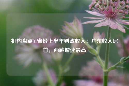 机构盘点31省份上半年财政收入：广东收入居首，西藏增速最高 经济学 宏观经济 预算 行业新闻 第1张