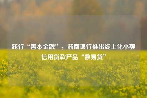 践行“善本金融”，浙商银行推出线上化小额信用贷款产品“数易贷” 易贷 浙商银行 金融 行业新闻 第1张