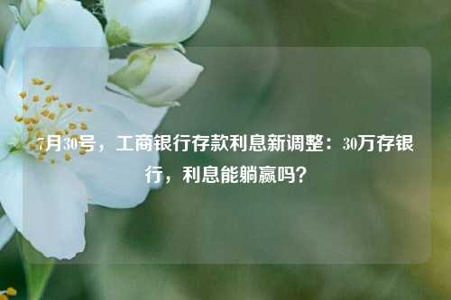 7月30号，工商银行存款利息新调整：30万存银行，利息能躺赢吗？ 利息调整 利息 银行 行业新闻 第1张