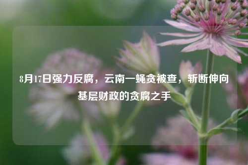 8月17日强力反腐，云南一蝇贪被查，斩断伸向基层财政的贪腐之手 时政 反腐倡廉 李国祥 行业新闻 第1张