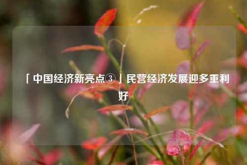 「中国经济新亮点③」民营经济发展迎多重利好 经济 国内宏观 民营经济 行业新闻 第1张