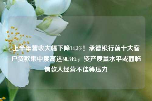上半年营收大幅下降14.3%！承德银行前十大客户贷款集中度高达60.34%，资产质量水平或面临借款人经营不佳等压力 银行 行业新闻 第1张