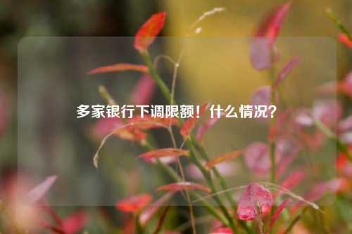 多家银行下调限额！什么情况？ 青岛银行 账户分类 银行 行业新闻 第1张