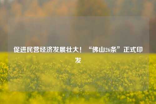 促进民营经济发展壮大！“佛山26条”正式印发 时政 经济 民营经济 行业新闻 第1张