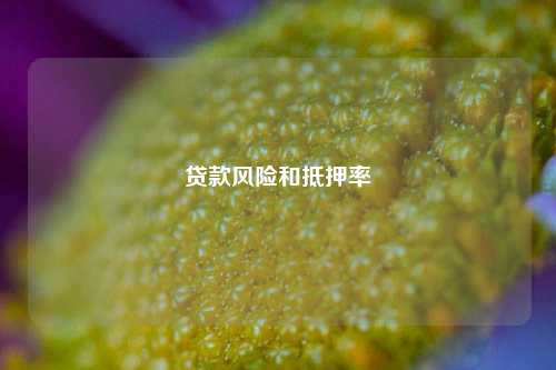 贷款风险和抵押率 贷款风险 抵押率 银行 房产贷款 第1张