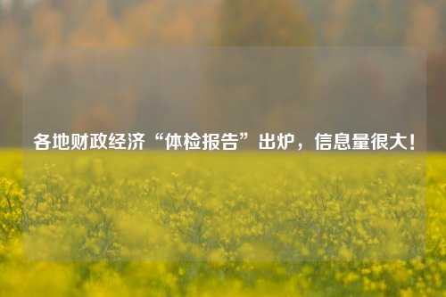 各地财政经济“体检报告”出炉，信息量很大！ 经济 体检报告 审计报告 行业新闻 第1张