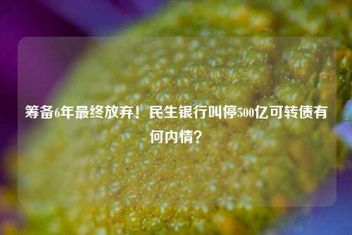 筹备6年最终放弃！民生银行叫停500亿可转债有何内情？ 资本充足率 可转债 银行 行业新闻 第1张