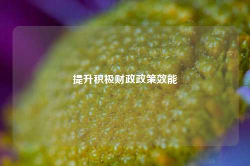 提升积极财政政策效能 宏观经济 国内宏观 积极财政政策 行业新闻 第1张
