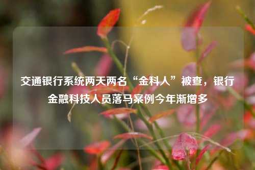 交通银行系统两天两名“金科人”被查，银行金融科技人员落马案例今年渐增多 银行 交通银行 金融 行业新闻 第1张