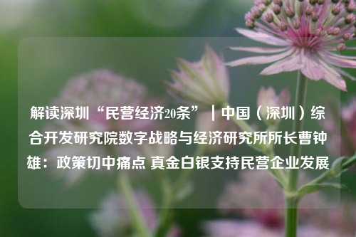 解读深圳“民营经济20条”｜中国（深圳）综合开发研究院数字战略与经济研究所所长曹钟雄：政策切中痛点 真金白银支持民营企业发展 深圳经济 经济 民营经济 行业新闻 第1张