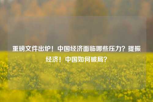 重磅文件出炉！中国经济面临哪些压力？提振经济！中国如何破局？ 加息 宏观经济 经济 行业新闻 第1张