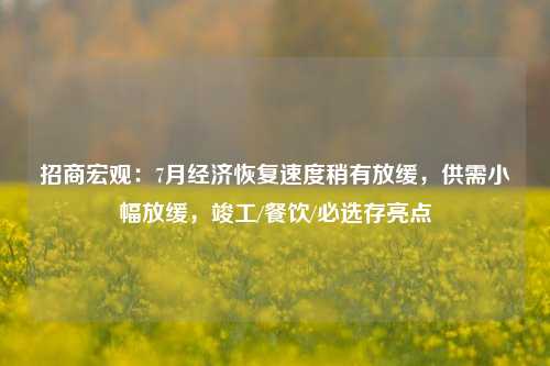 招商宏观：7月经济恢复速度稍有放缓，供需小幅放缓，竣工/餐饮/必选存亮点 投资 经济 行业新闻 第1张