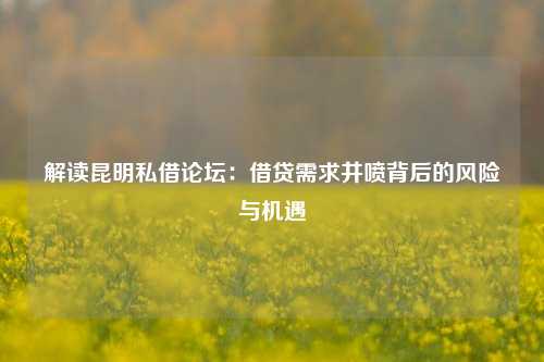 解读昆明私借论坛：借贷需求井喷背后的风险与机遇 金融 私人借款 第1张