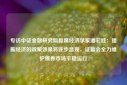 专访中证金融研究院首席经济学家潘宏胜：提振经济的政策效果将逐步显现，证监会全力维护债券市场平稳运行 经济 融资风险 房企 行业新闻 第1张